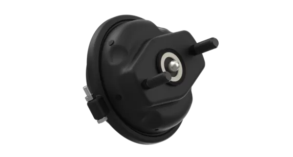 4801020630-4.png Brake Chamber Disc 24 - 4235060230